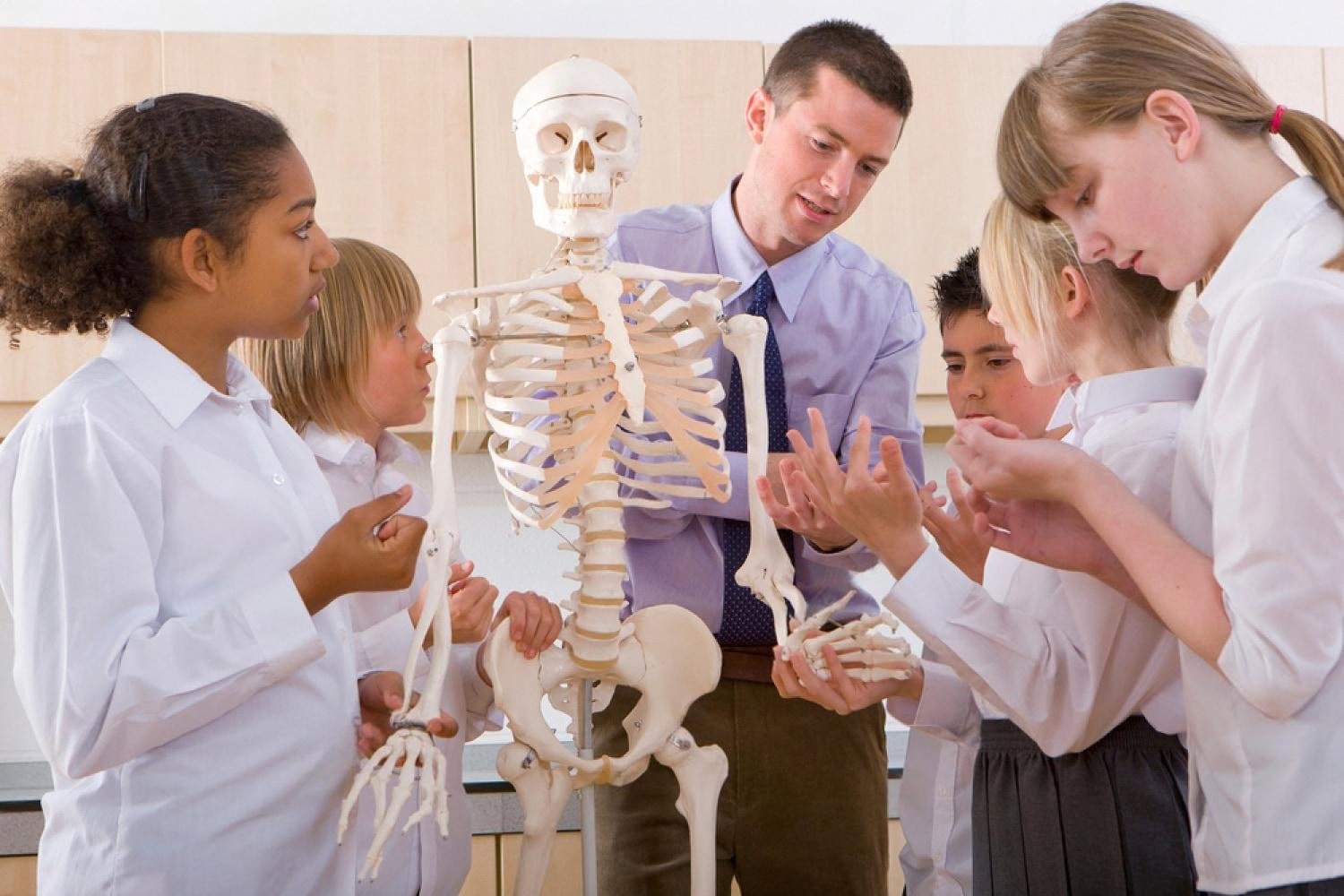 Teacher showing elementary school children a human skeleton model during a biology lesson